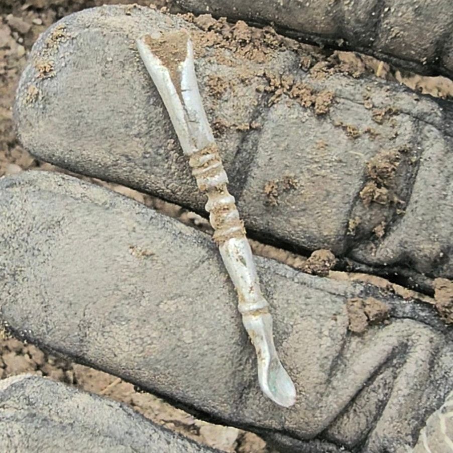 Ear spoon — photo 2