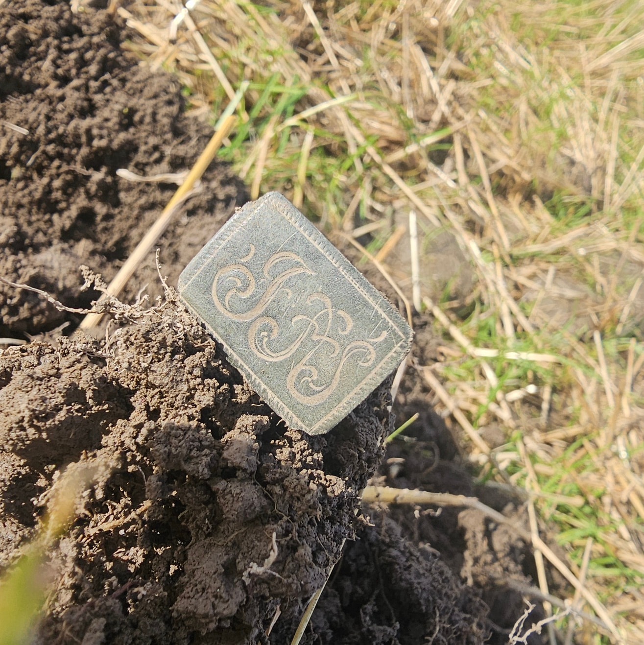 Signet — photo 2