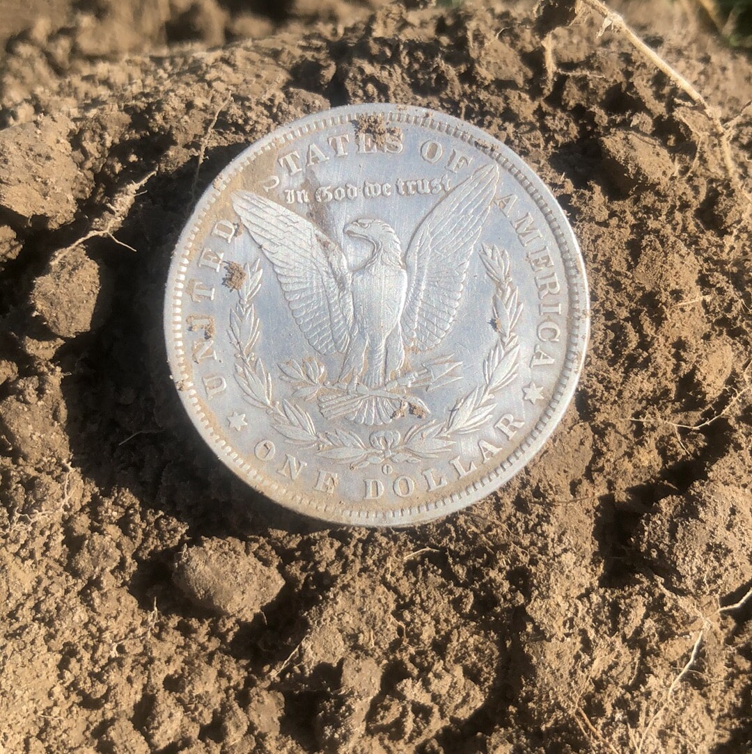 1881 o Morgan dollar — photo 2