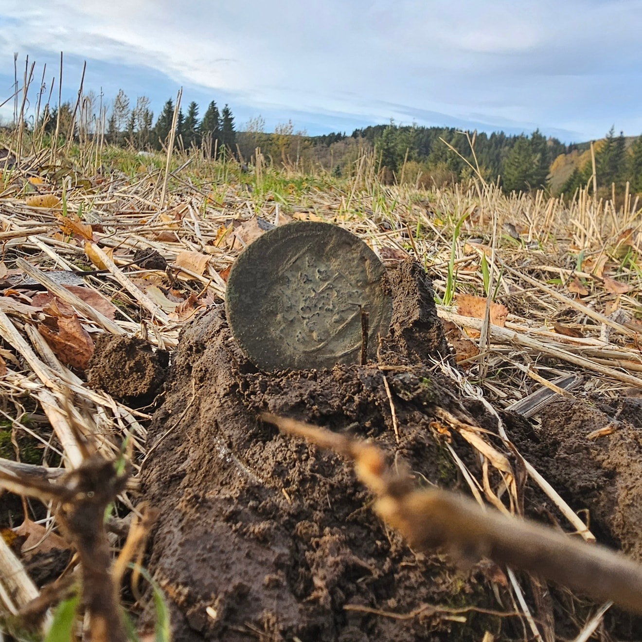 Swedish big copper coin